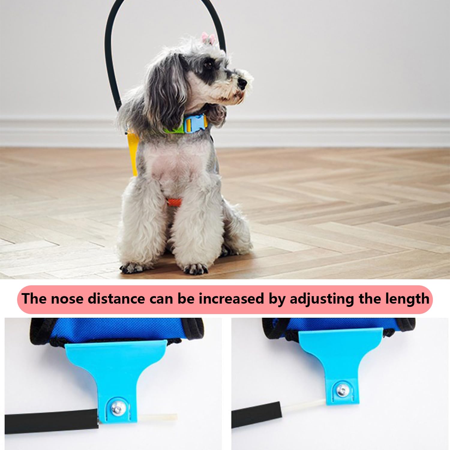 StoßFäNgerhalsband FüR Blinde Hunde,Verstellbares Antikollisionsschutzhalsband Haustiere,Um Das Vertrauen Sehbehinderter Haustiere Kleine Und MittelgroßE Hunde Aufzubauen(XS,Black)