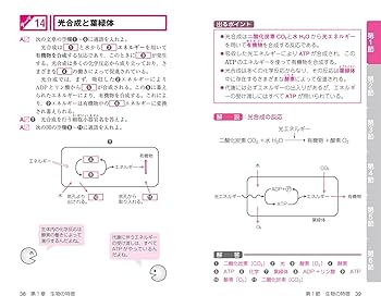 新品　2023生物科学 1問1答式 用語問題集 ランク順 高校生物一問一答 改訂版 | 学研編集部, 学研編集部