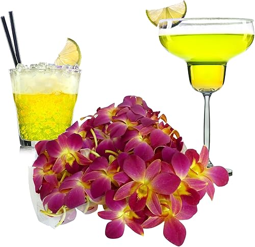 Miami Fresh Orchid OrchidClub USA Sunne Tropical Cabeza de flor suelta de flores DIY Lei decoración de alimentos y bebidas (50 amarillos amanecer)