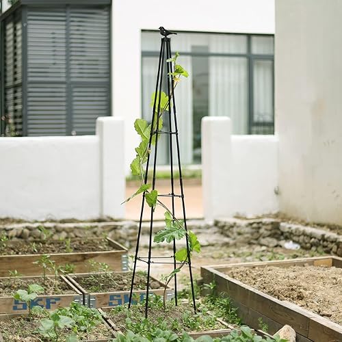 Miniatura 7 de Enrejado de jardín para plantas trepadoras al aire libre, enrejado de pepino de 67 pulgadas de alto para cama elevada, jaula de tomate para jardín,