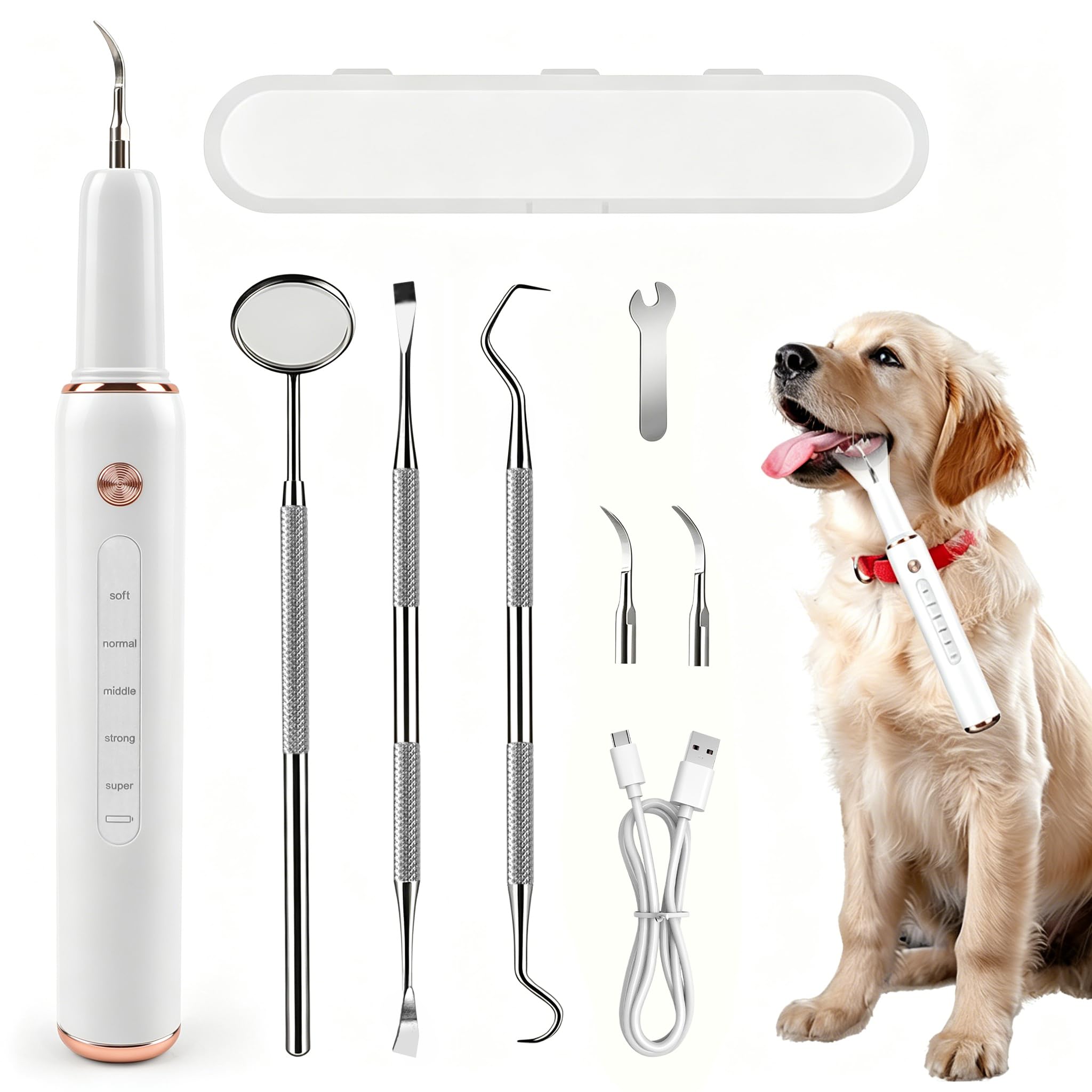 FIVAVA Zahnsteinentferner Hunde, Zahnreinigungsset Ultraschall für Hund, 5 Reinigungsmodi, zur Entfernung von Zahnstein & Zahnbelag, mit LED-Licht, wiederaufladbar