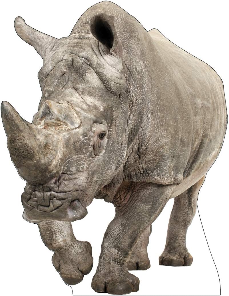 Cardboard People White Rhinoceros Life Size Cardboard Cutout Standup