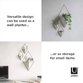 Amazon.com: Umbra Trigg Hanging Planter Vase & Geometric Wall