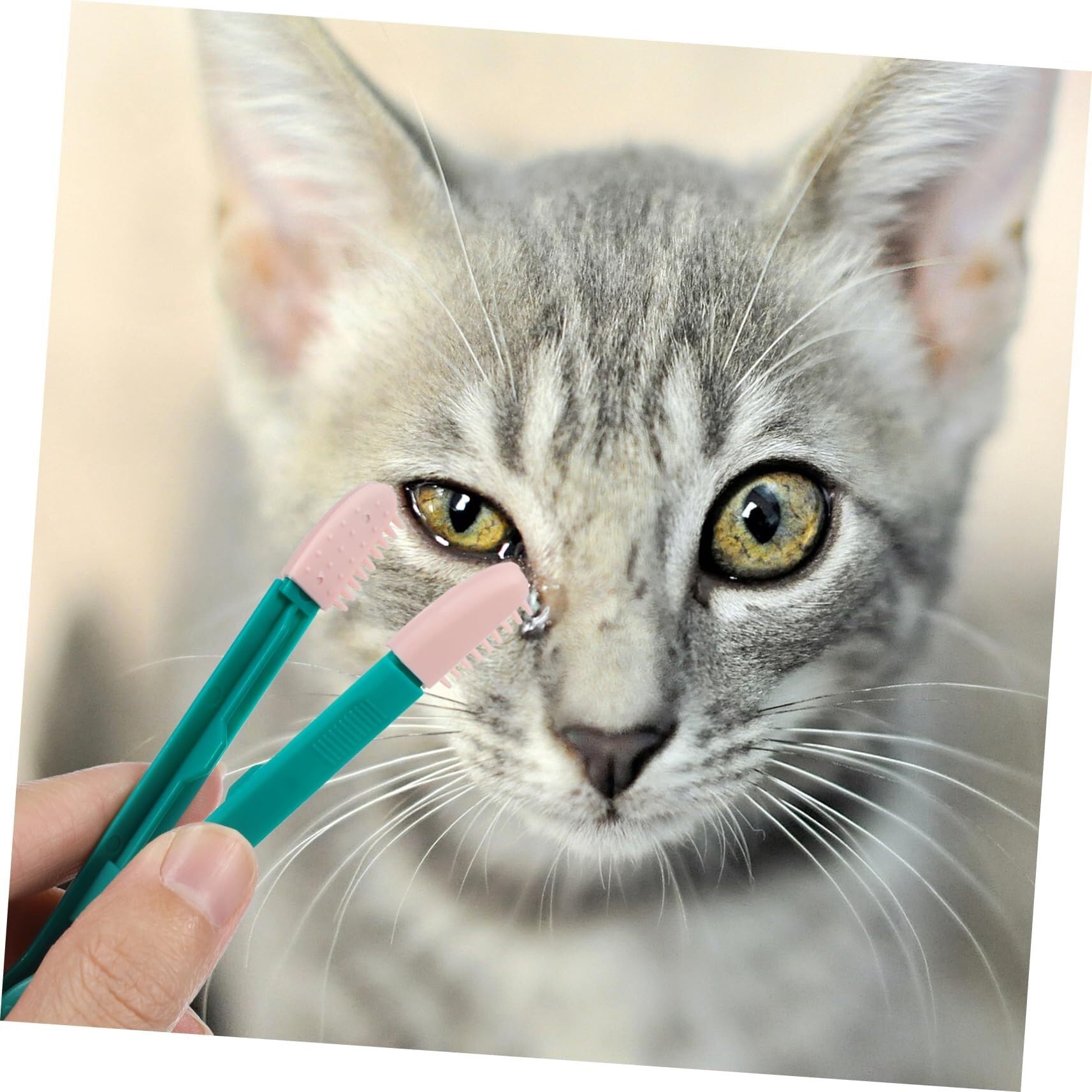 POLGDW Lot de 4 mini brosses nettoyantes for les yeux et les gencives des chiens, brosse for poils d'animaux, poils d'animaux, chat, chien, nettoyant for les yeux, dissolvant de taches buccales, peign