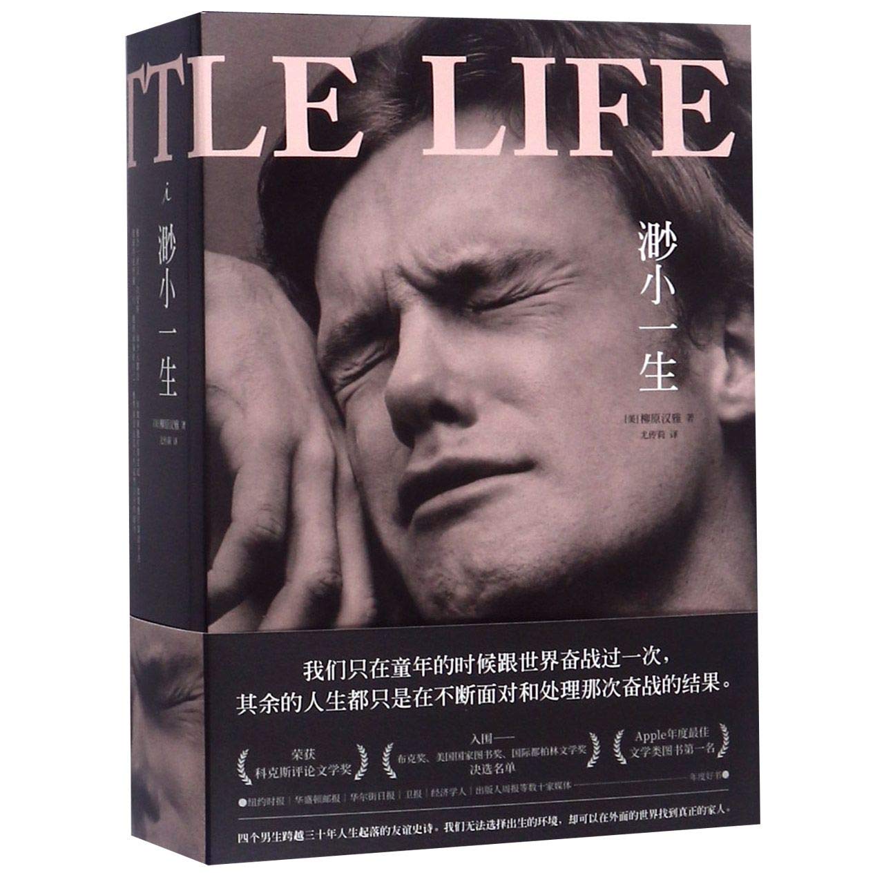A Little Life (Chinese Edition) Paperback – June 1, 2019