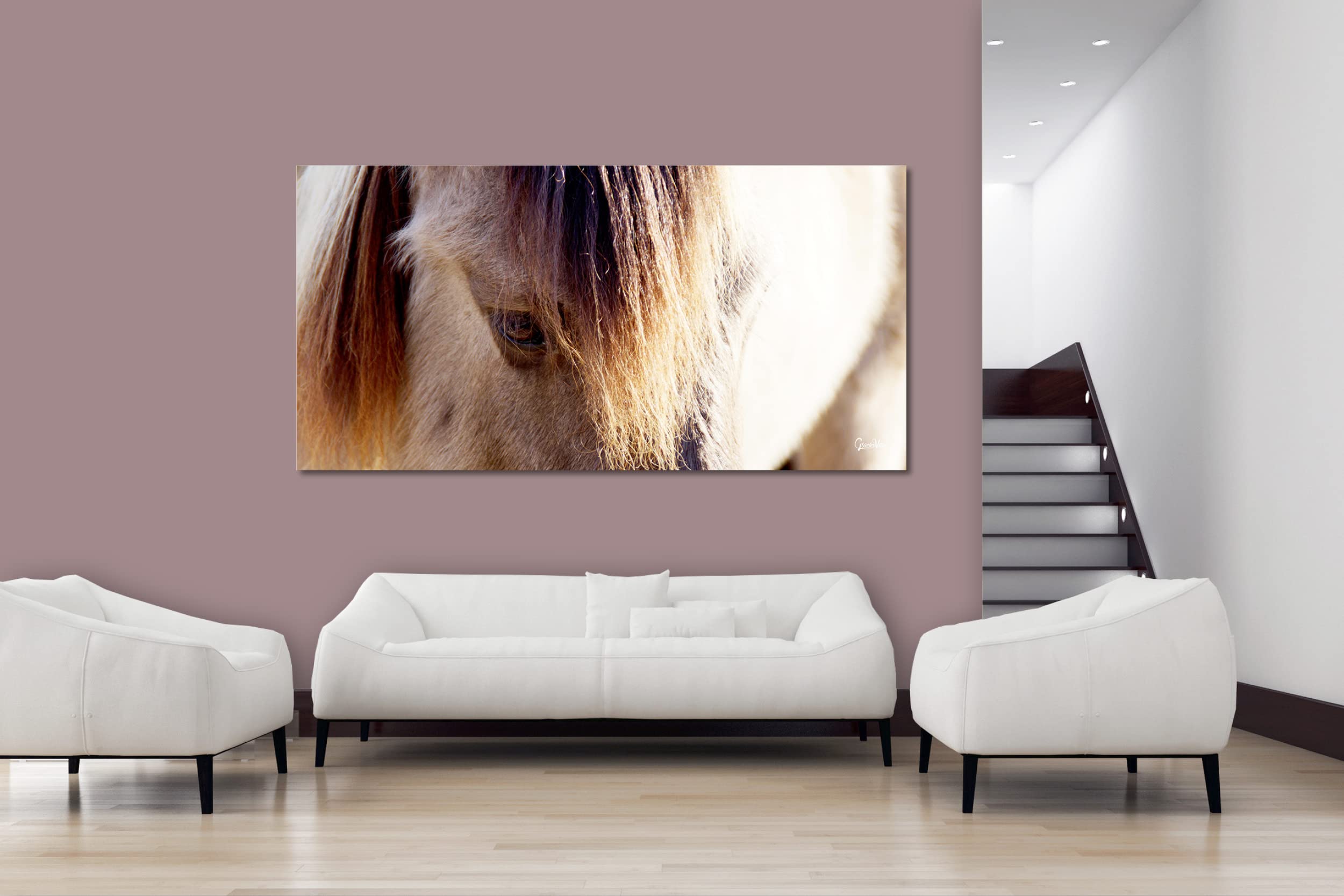 Glücksvilla - Wildpferd 2 (Leinwand-Bild 2 cm, 100 x 50 cm) | div. Maße - aus DE - Kunstdruck Deko Wandbild quer - Pferd Pony Bauernhof Natur Tier