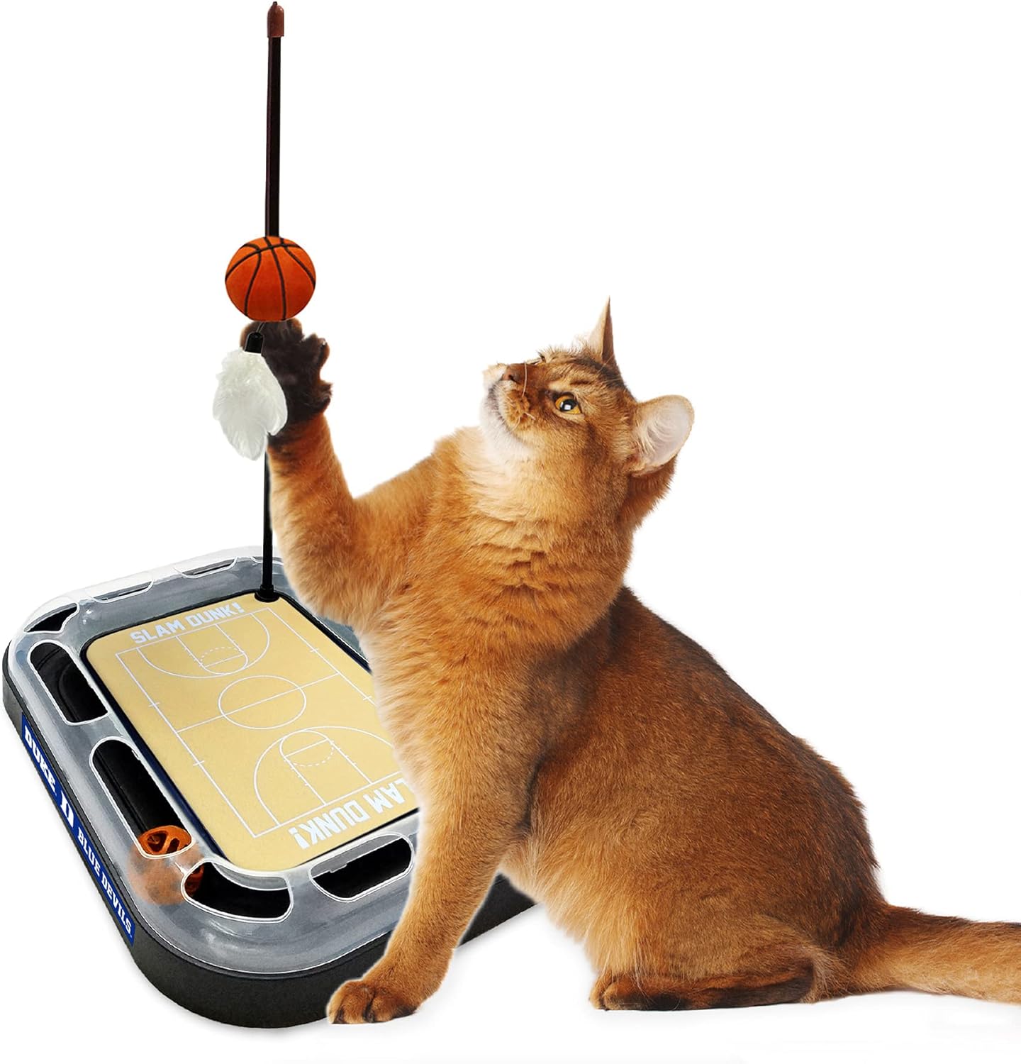 CATS SCRATCHER NCAA Duke University Basketball Court CAT Scratcher Toy with Catnip Filled Plush Basketball Toy & Feather Cat Toy Hanging, with Jingle Bell Interactive Ball Cat Chasing 5-in-1 Kitty Toy