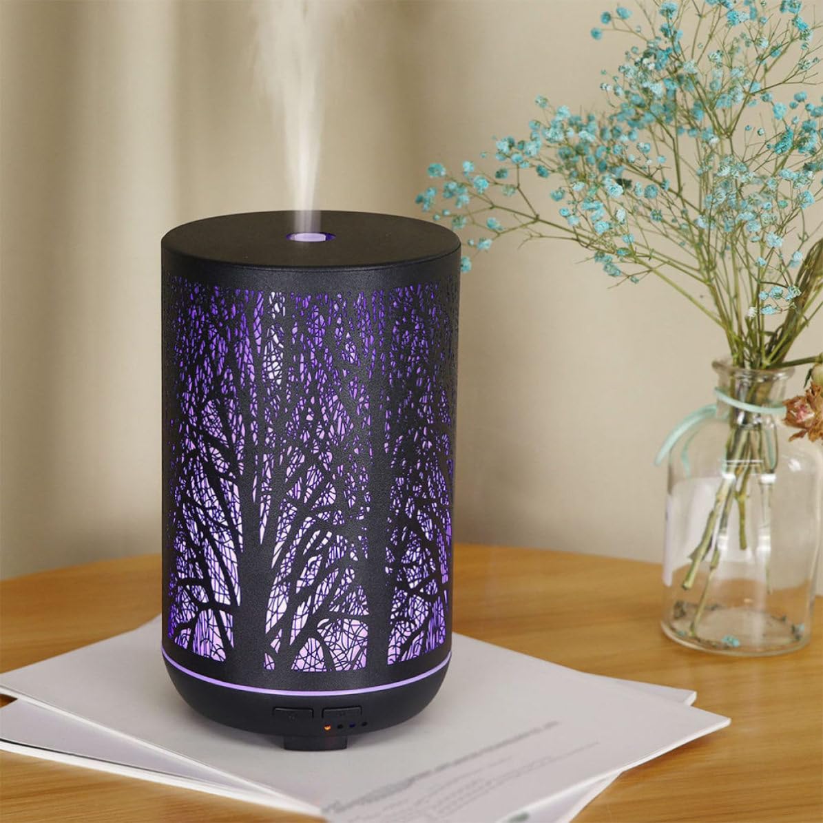 300ml Diffusore Ferro in Aromi Umidificatore Nero per Casa