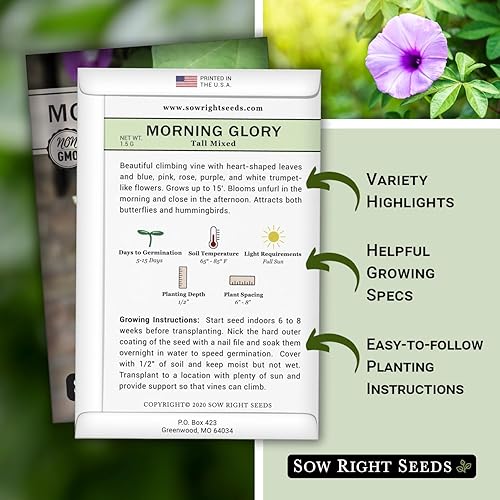 Miniatura 2 de Sow Right Seeds - Semillas altas mezcladas de gloria matutina para plantar - Paquete de reliquia sin OMG con instrucciones para cultivar - Variedad