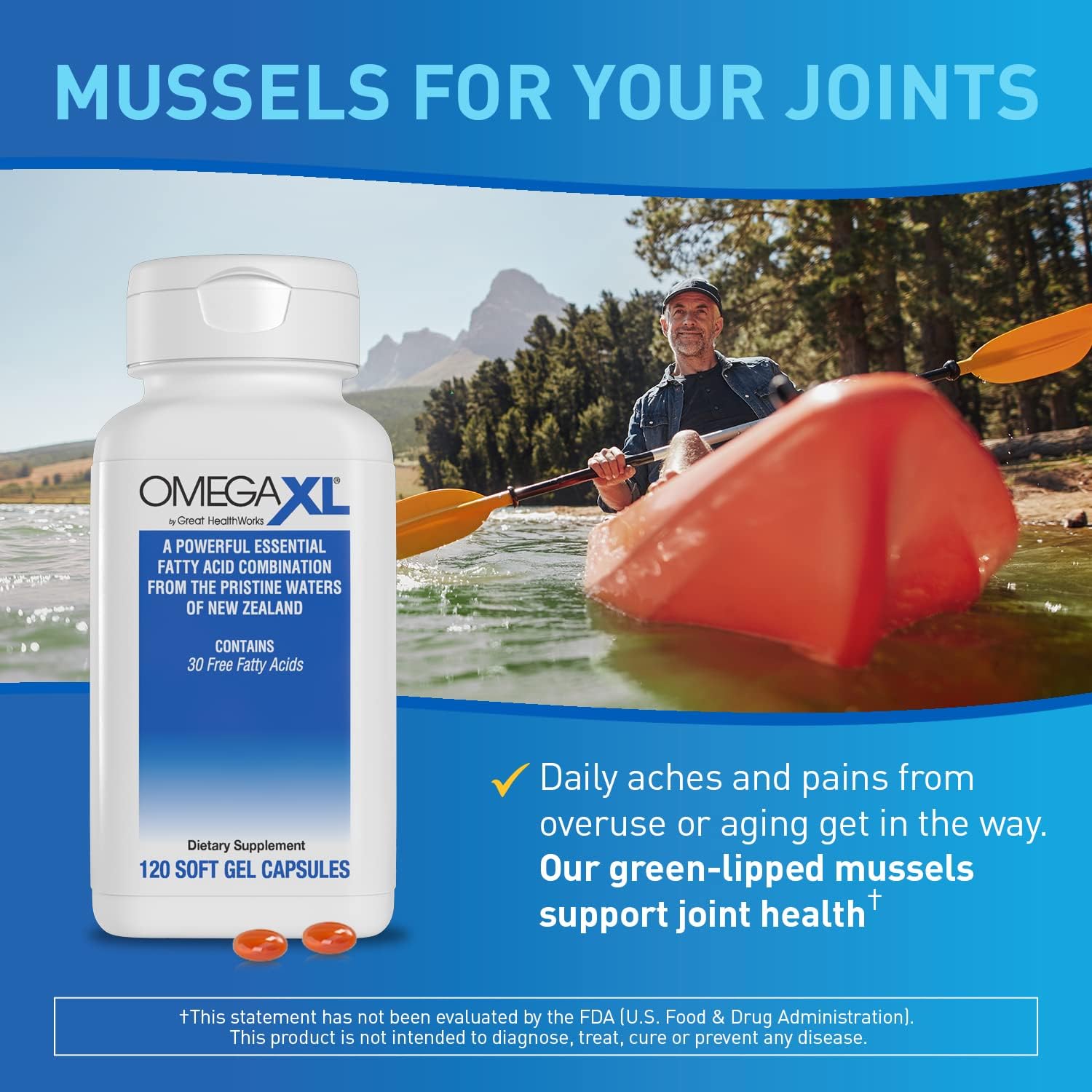 Omega XL 120 Capsules - Green Lipped Mussel New Zealand ...