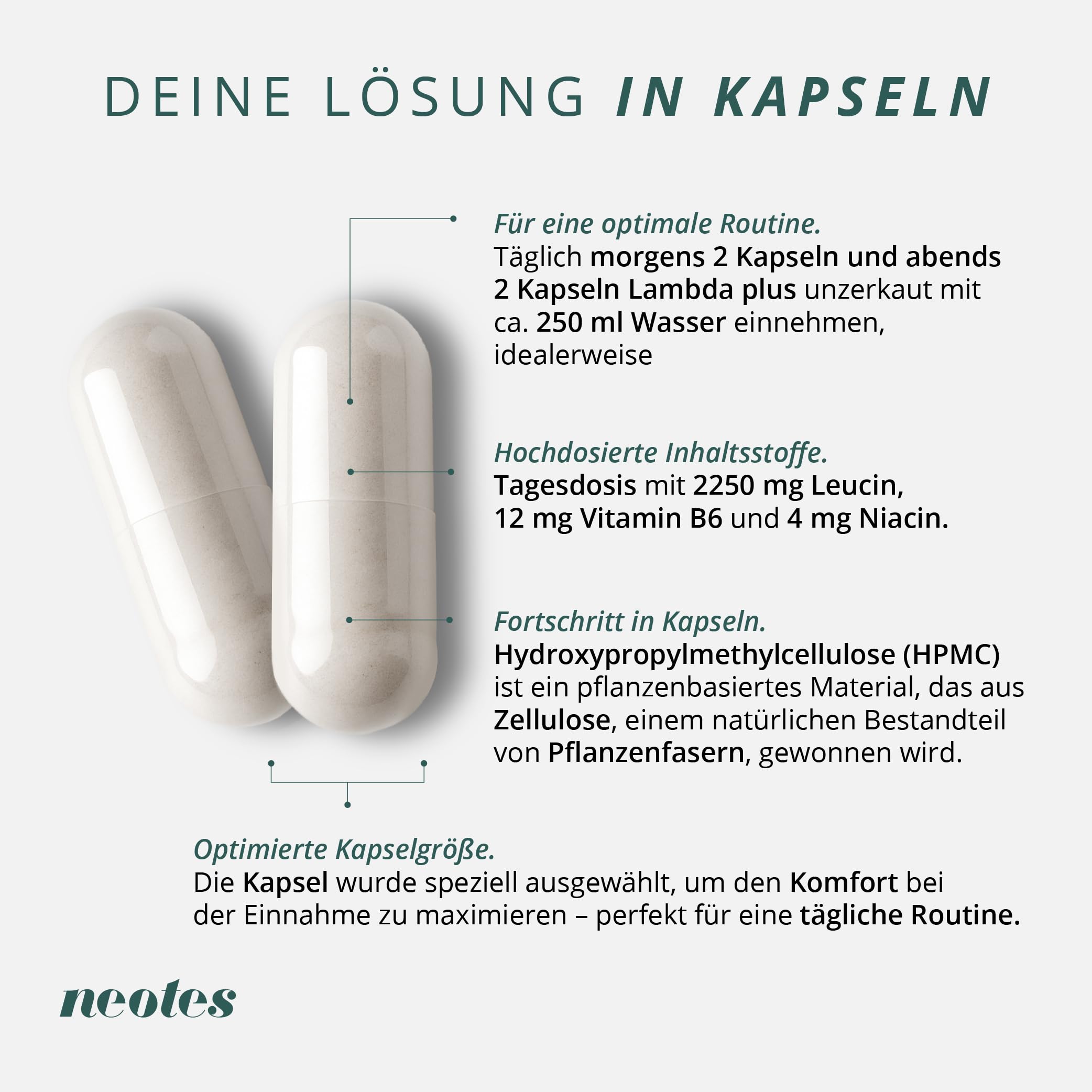Lambda Plus – 2250mg Leucin + B6 & Niacin – 60 Kapseln für 20 Tage – Hochdosierte Aminosäuren – Verringert Müdigkeit & unterstützt Hormone – Vegan
