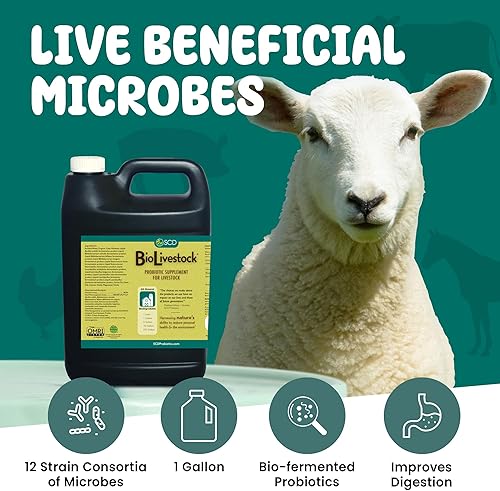 Miniatura 8 de SCD Bio Livestock - Probiotic Feed and Water Additive - Probiotics for Cows Pigs Horses Chickens Ducks Rabbits