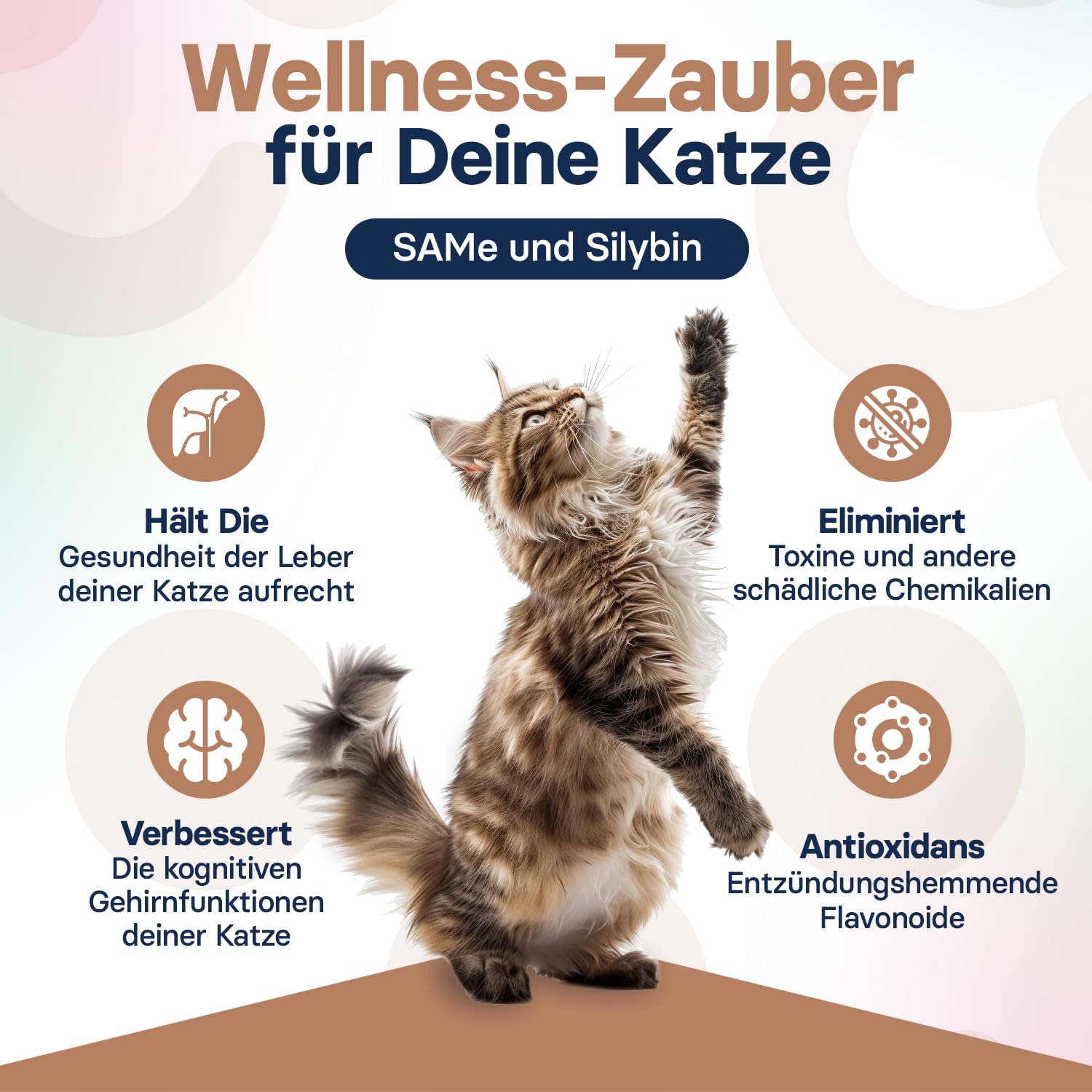 Lebergesundheits-Supplement für Katzen – Mariendistel Supplement für die Leber-Detox – Katzen-Supplemente mit S-Adenosylmethionin (Same) und Silybin – 30 Tabletten