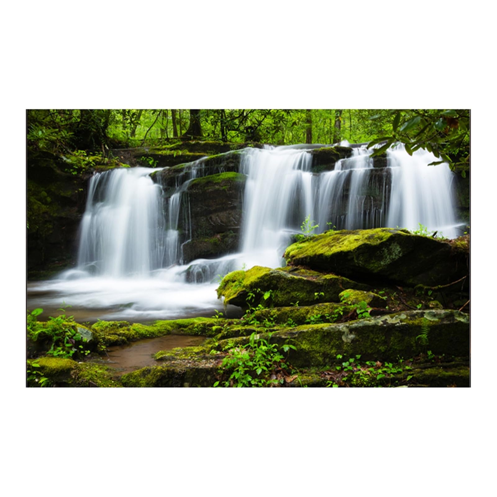 Fond Aquarium Affiche de Fond d'aquarium 3D | Autocollant adhésif en PVC, arrière-plan de cascade d'aquarium, plantes de mer d'océan(WHITE,40x80cm)