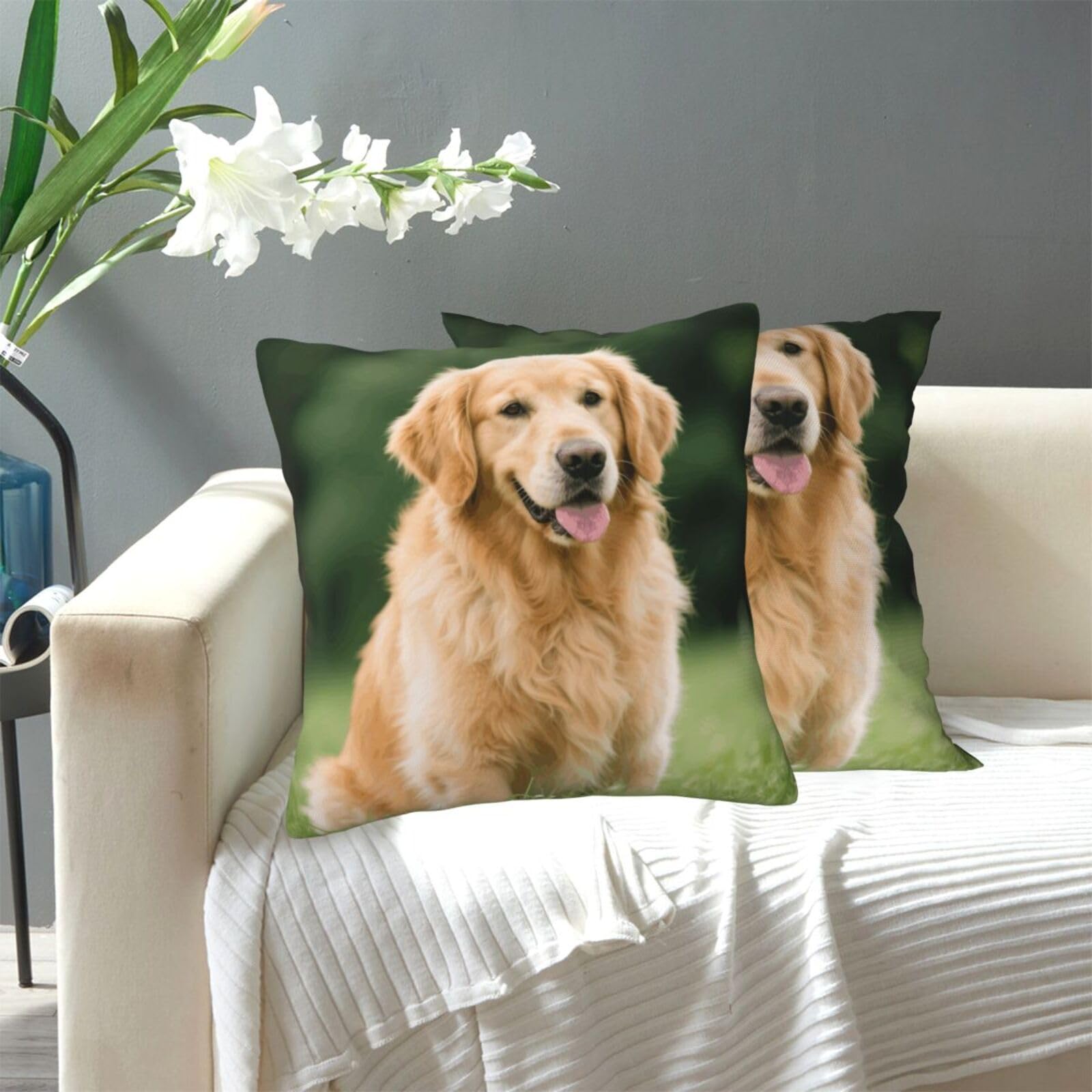 FekiLoot Decorative Throw Pillow Covers Modern Farmhouse Pillowcase Double Sided Cozy Cushion Cover for Sofa Couch Bed 20"X20" Golden Retriever Dog