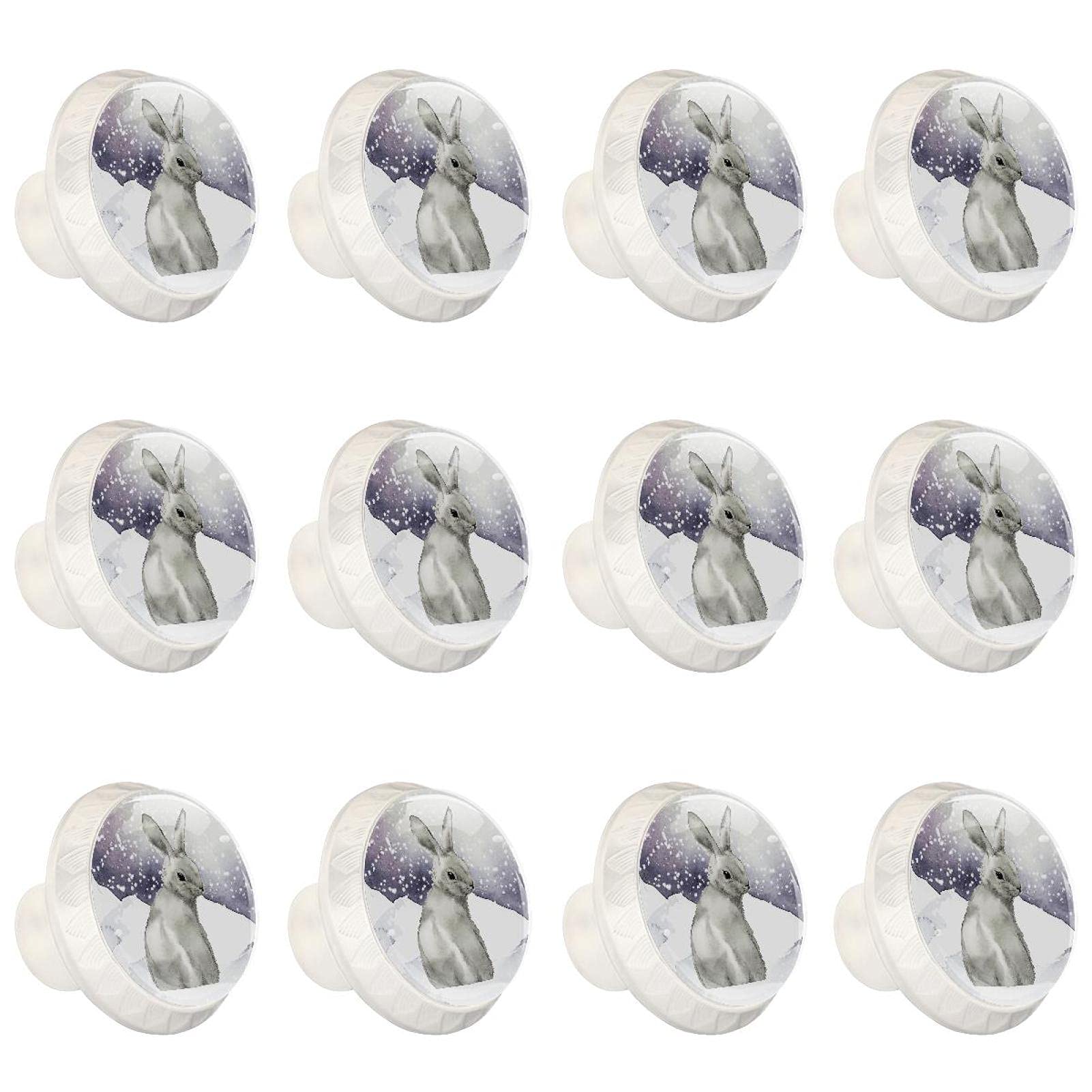Boutons de garde-robe dinosaures colorés en verre cristal lot de 24