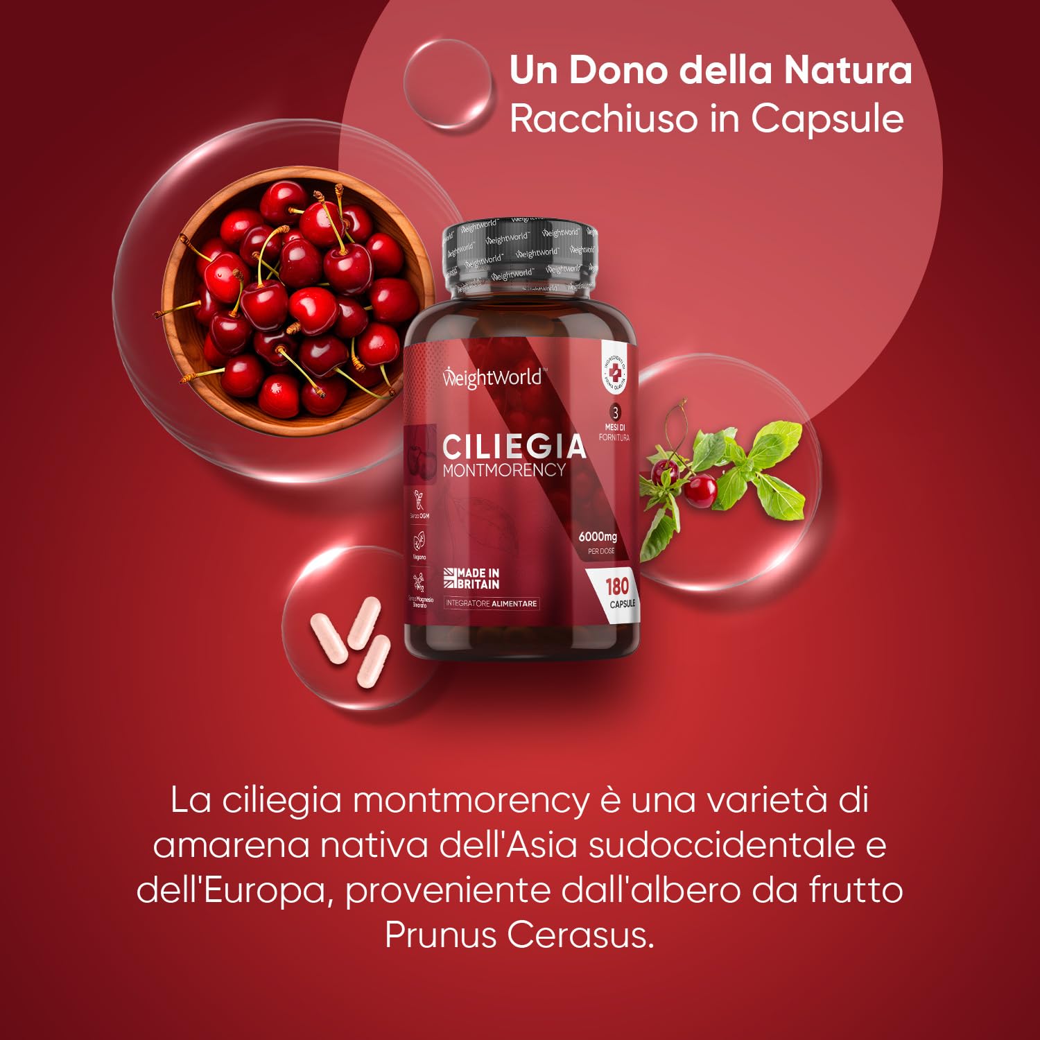 Montmorency Cherry 6000mg (Estratto 50:1), 3 Mesi di Scorta, 180 Capsule Vegane di Estratto di Ciliegia Prunus Cerasus, Integratore Cherry Montmorency Senza Glutine, OGM e privo di Magnesio Stearato