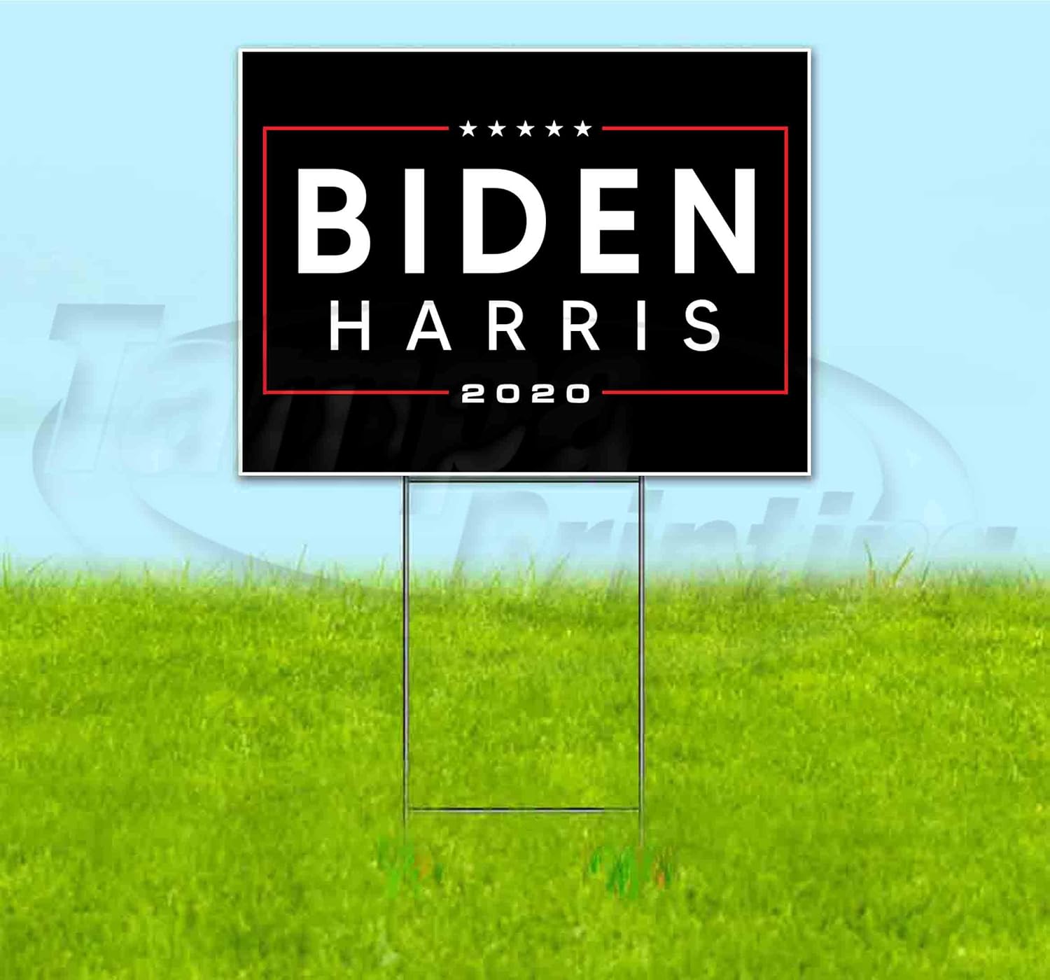Biden Harris 2020 (18" X 24") Yard Sign, Quantity Discounts, Multi-Packs, Includes Metal Step Stake, Bandit, Bandit Sign