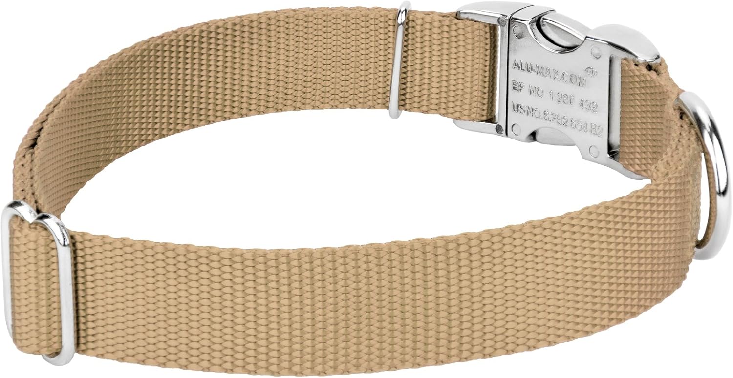 Country Brook Petz - Premium Nylon Dog Collar and Leash - 10+ Warm Colors (Medium, 3/4 Inch, Copper Gold)