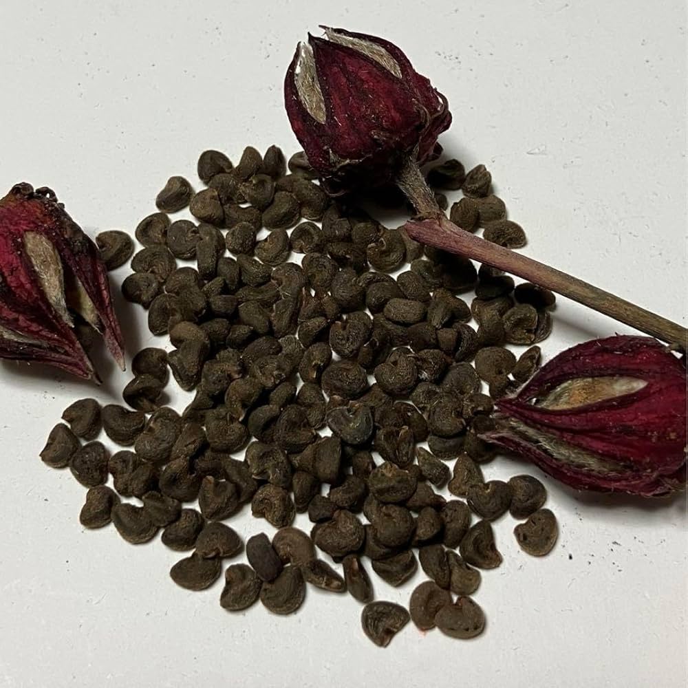 ローゼル青萼　種抜き処理済 　元重量2kg分　⑤ ローゼル青萼 種抜き処理済 元重量2kg分 ⑤ 令和1番