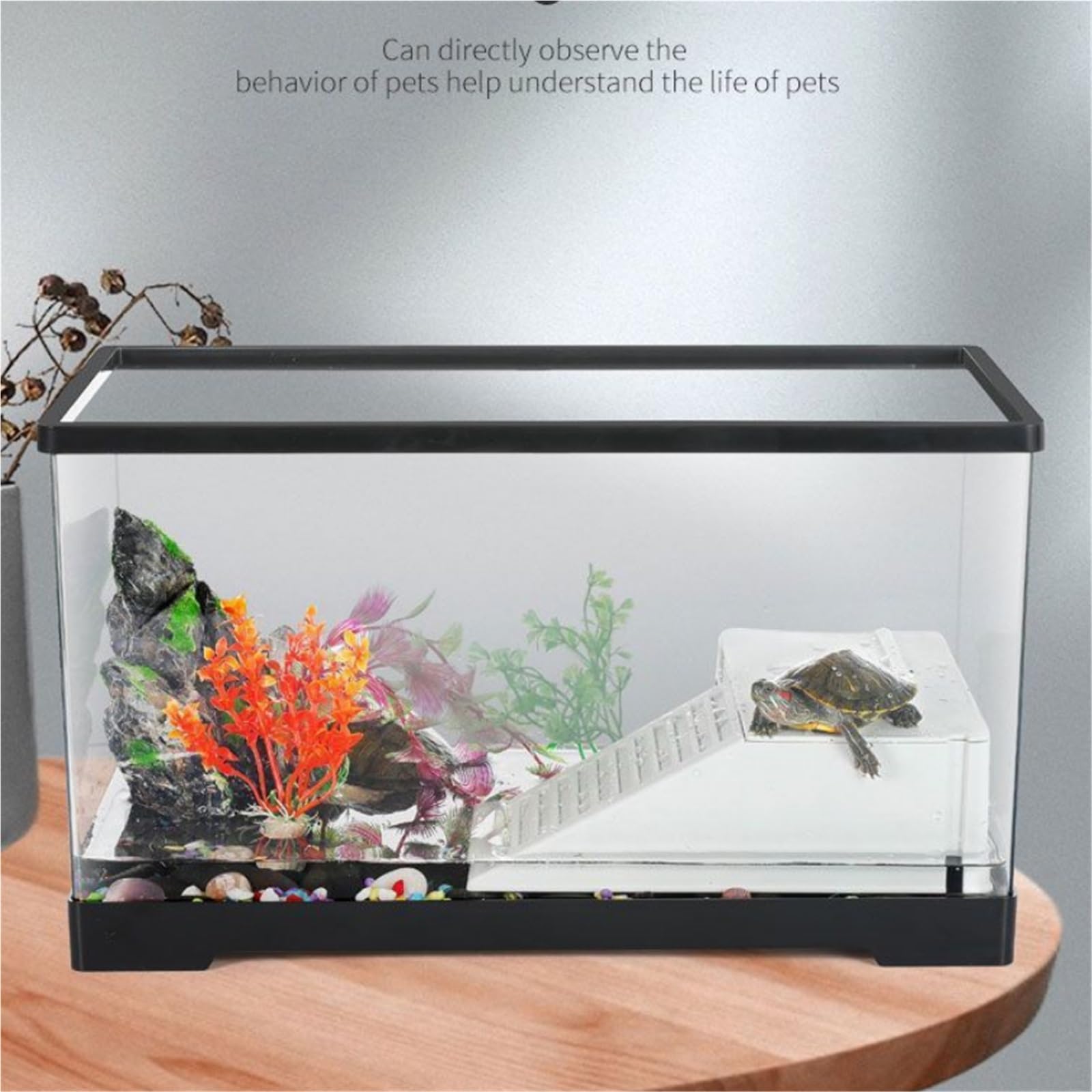 Siedlisko terrarium Domowa skrzynka do karmienia żółwi z separacją na mokro i platformą suszenia słońcu Terrarium akwariowe
