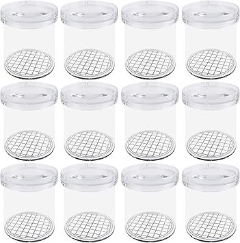 TERRARIDE Becherlupen Set 2-teilig - Mit 3x Und 6x Vergrößerung - Insekten Forschung Für Kinder