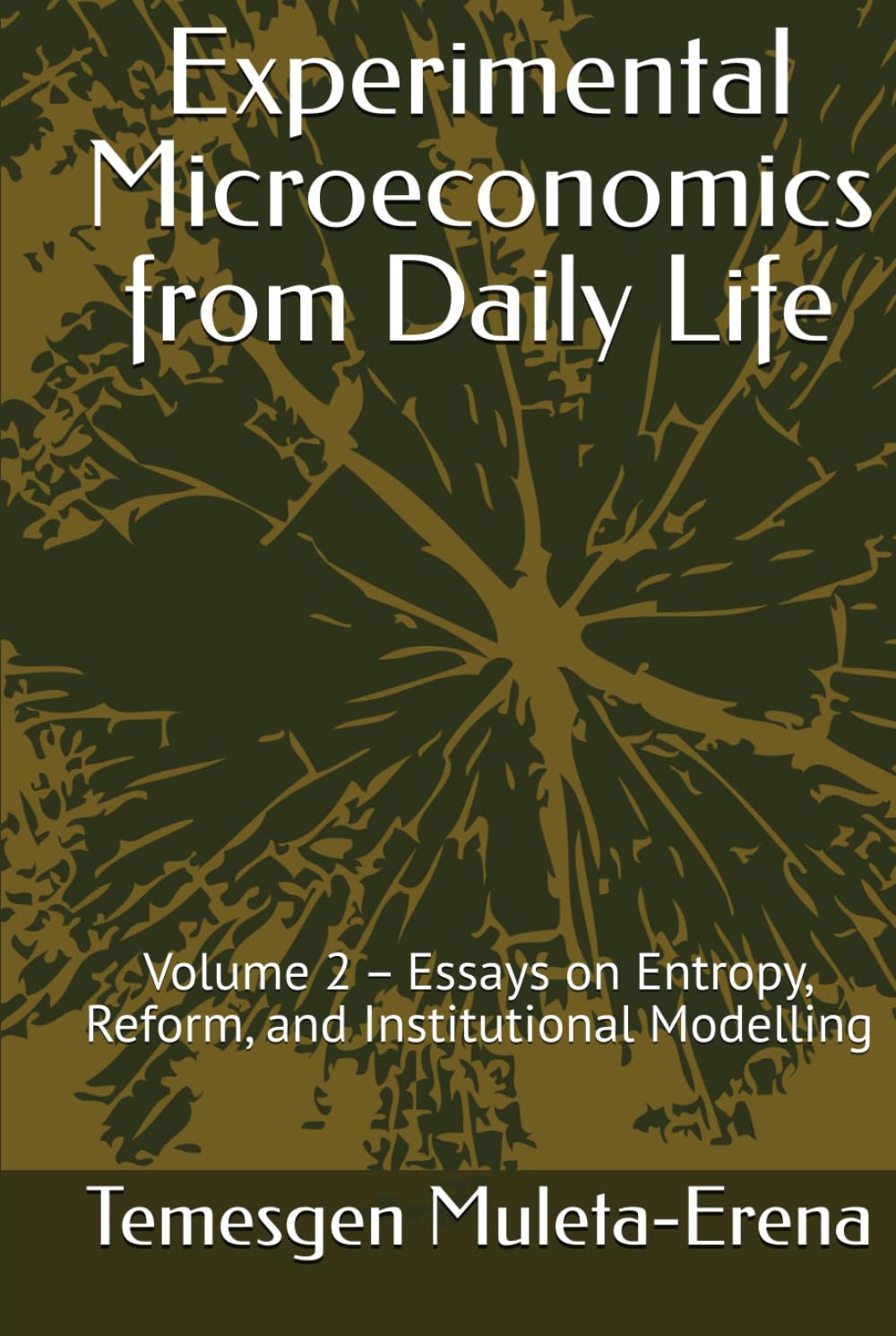Experimental Microeconomics from Daily Life: Volume 2 – Essays on Entropy, Reform, and Institutional Modelling (Experimental Microeconomics Series)