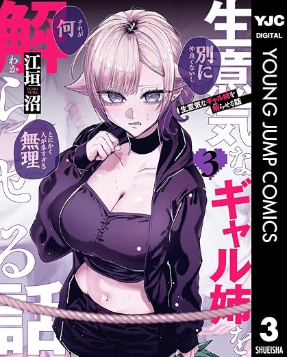 生意気なギャル姉を解らせる話 3巻