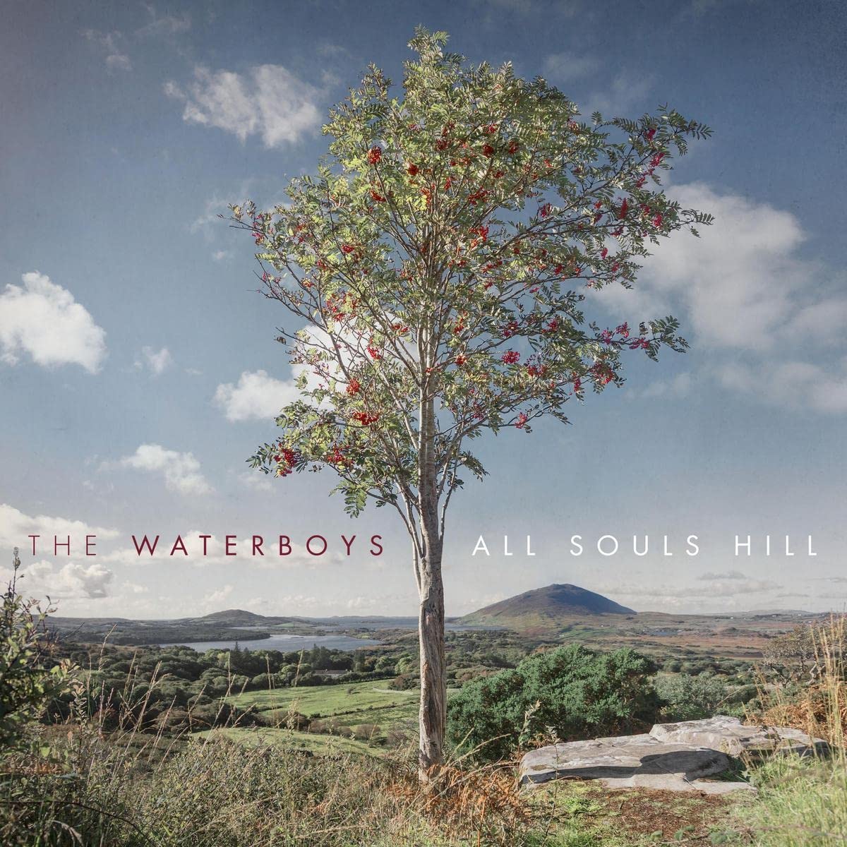 The Waterboys All Souls Hill EUR 2022 Red Vinyl Record Album LP NM/NM