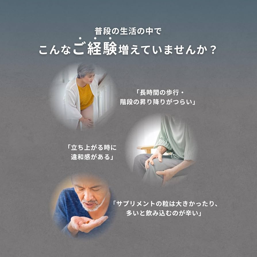 一正蒲鉾 - プロテオグリカン ＋ 舞茸エキス 60粒 約30日分 6袋 一正 いちまさ サプ Amazon | いちまさ 【プロテオグリカン ＋ 舞茸エキス ＋ N