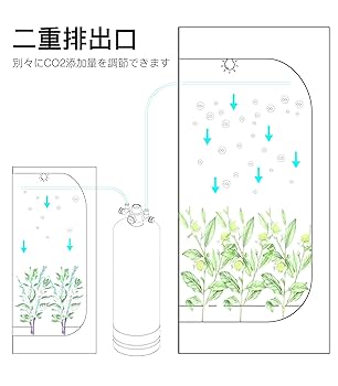Clscea シルボン　化学式Co2 水草育成用 楽天市場】【送料無料】Clscea 水槽用化学反応式co2