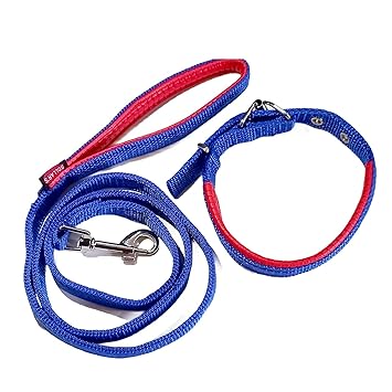Hilife 43 Inch Nylon Rope Dog Leash with Coller Strong and Durable for Walking and Running with Your Dogs.it is Easy to use on Neck Hook with Carabiner leashes for Large, Medium Dogs and Small Puppy