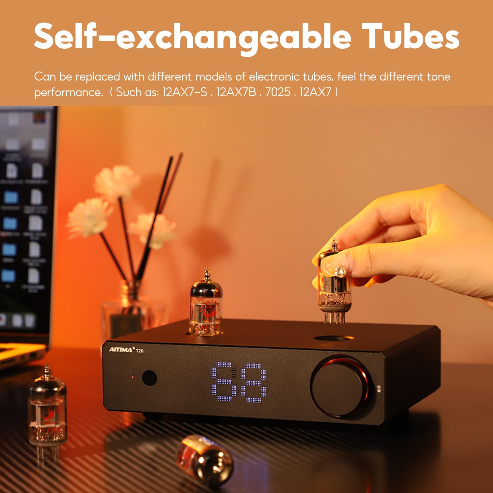 Amazon.com: AIYIMA T20 Fully Balanced ECC83 Tube Preamplifier for