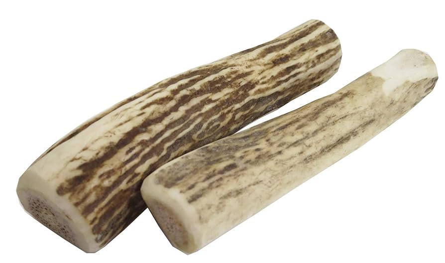 Amazon.co.jp: 北海道産 天然のエゾ鹿角 小型犬用2本 デンタル