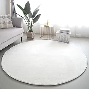 Amazon.com: JGGXHM Solid Color Round Rugs for Living Room White Soft ...