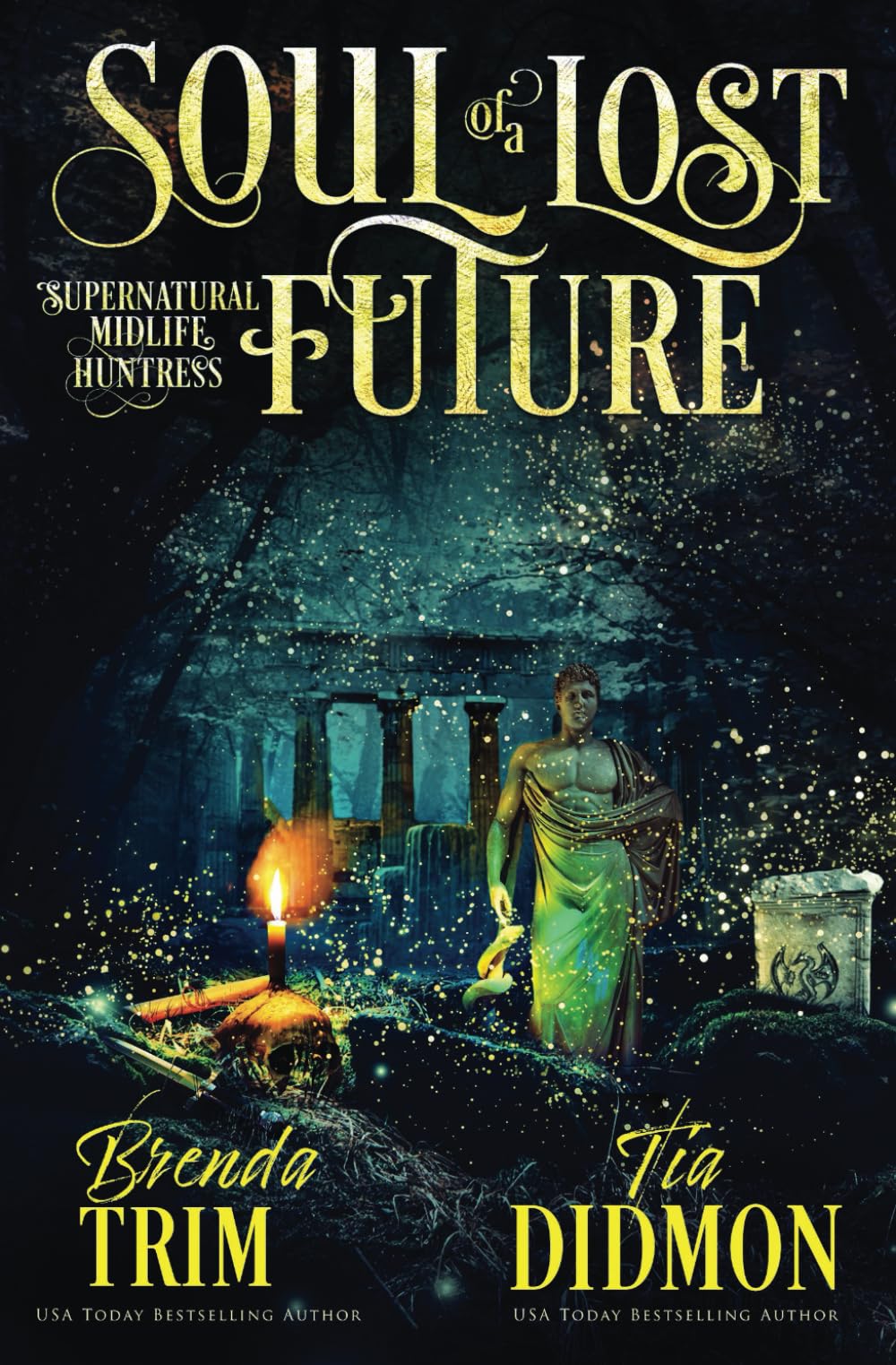 Soul of a Lost Future: Paranormal Women's Fiction (Supernatural Midlife Huntress): 21 (Shrouded Nation)