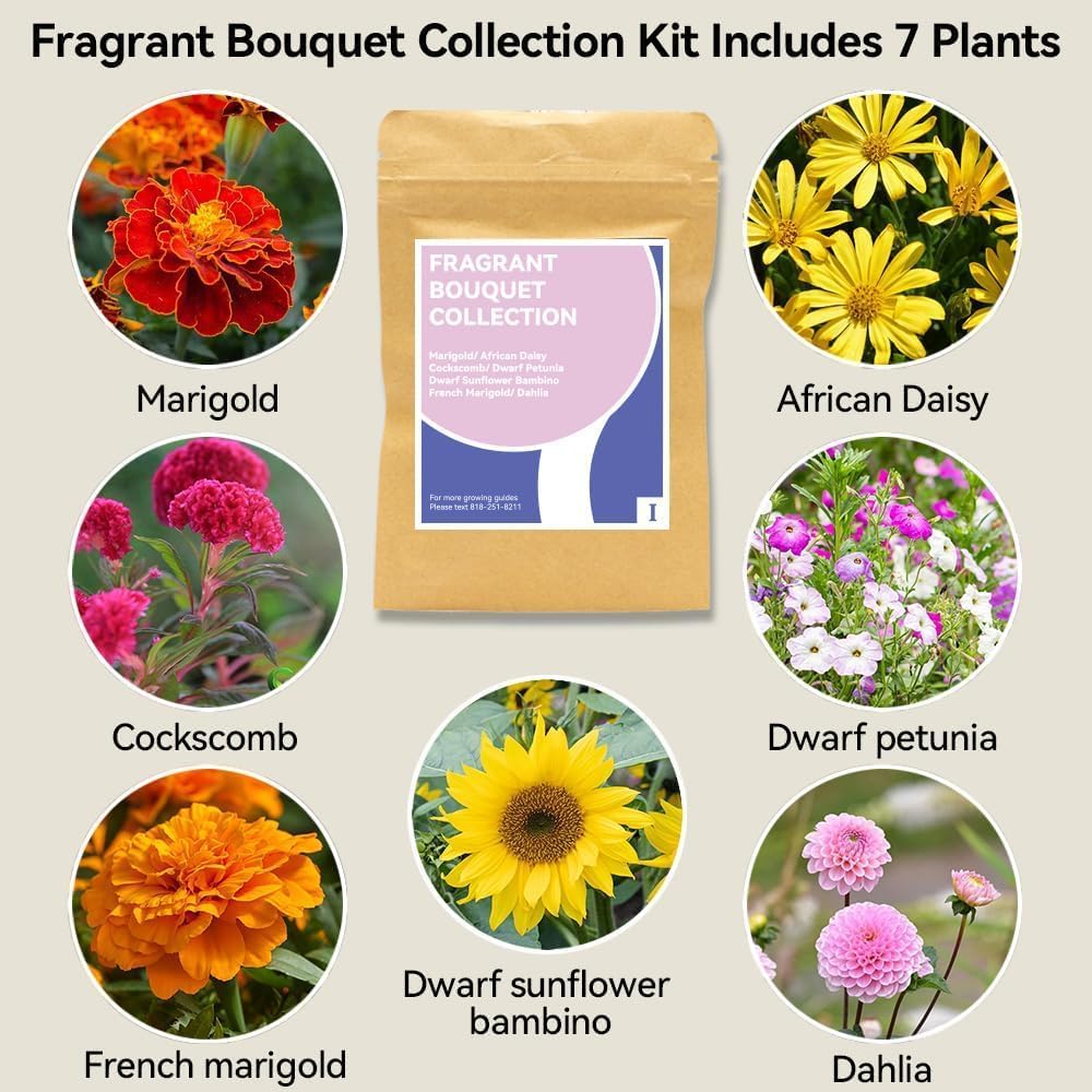 inbloom Fragrant Bouquet Flower Seed Pod Kit for AeroGarden, iDoo, Ahopegarden, GARDENCUBE, 7 Pods (350+ Flower Seeds with Sunflower, Mexican Marigold, Cockscomb, French Marigold, Dahlia) - Image 3