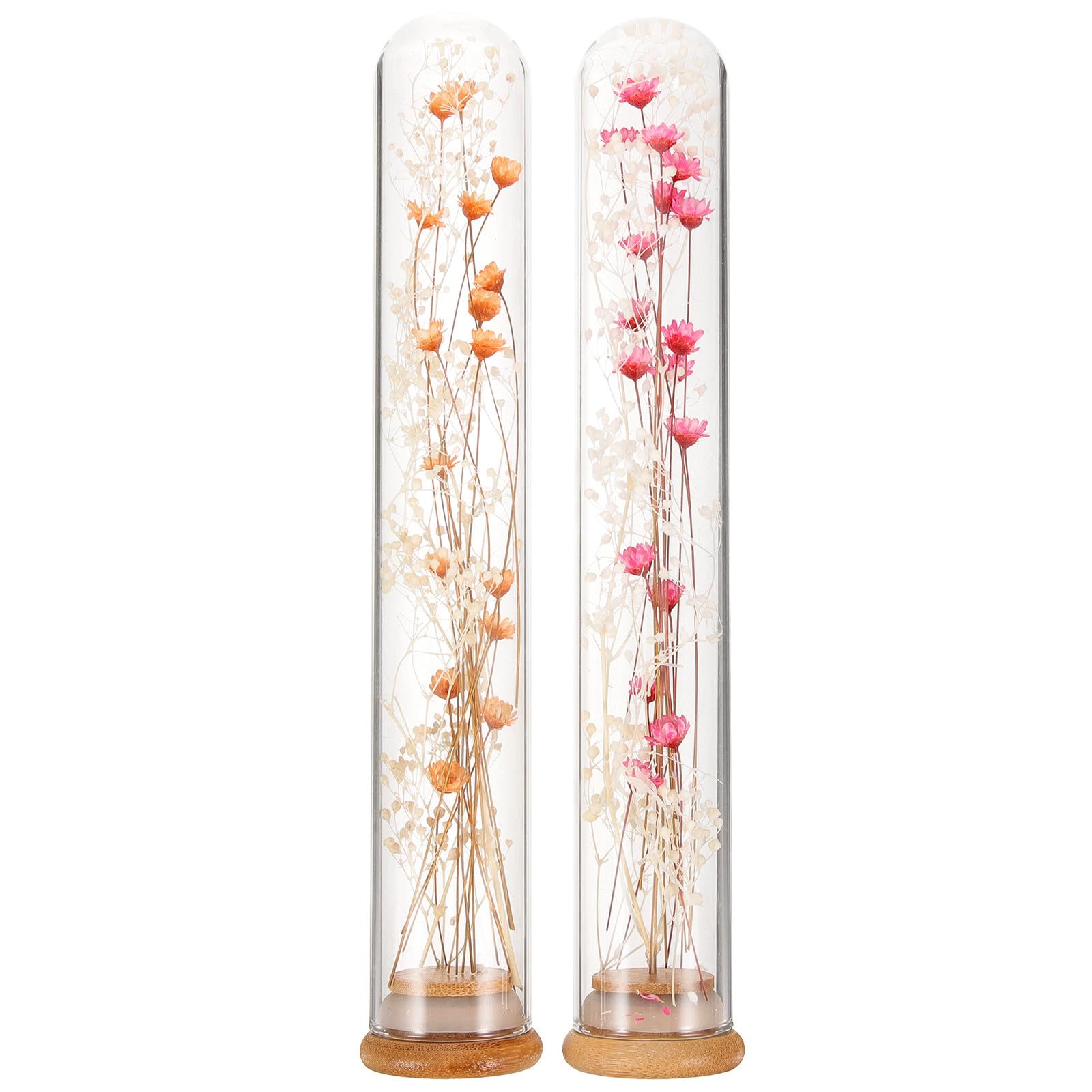Fleurs séchées sous verre jaune orangé POPETPOP pour décoration maison et accessoires DIY
