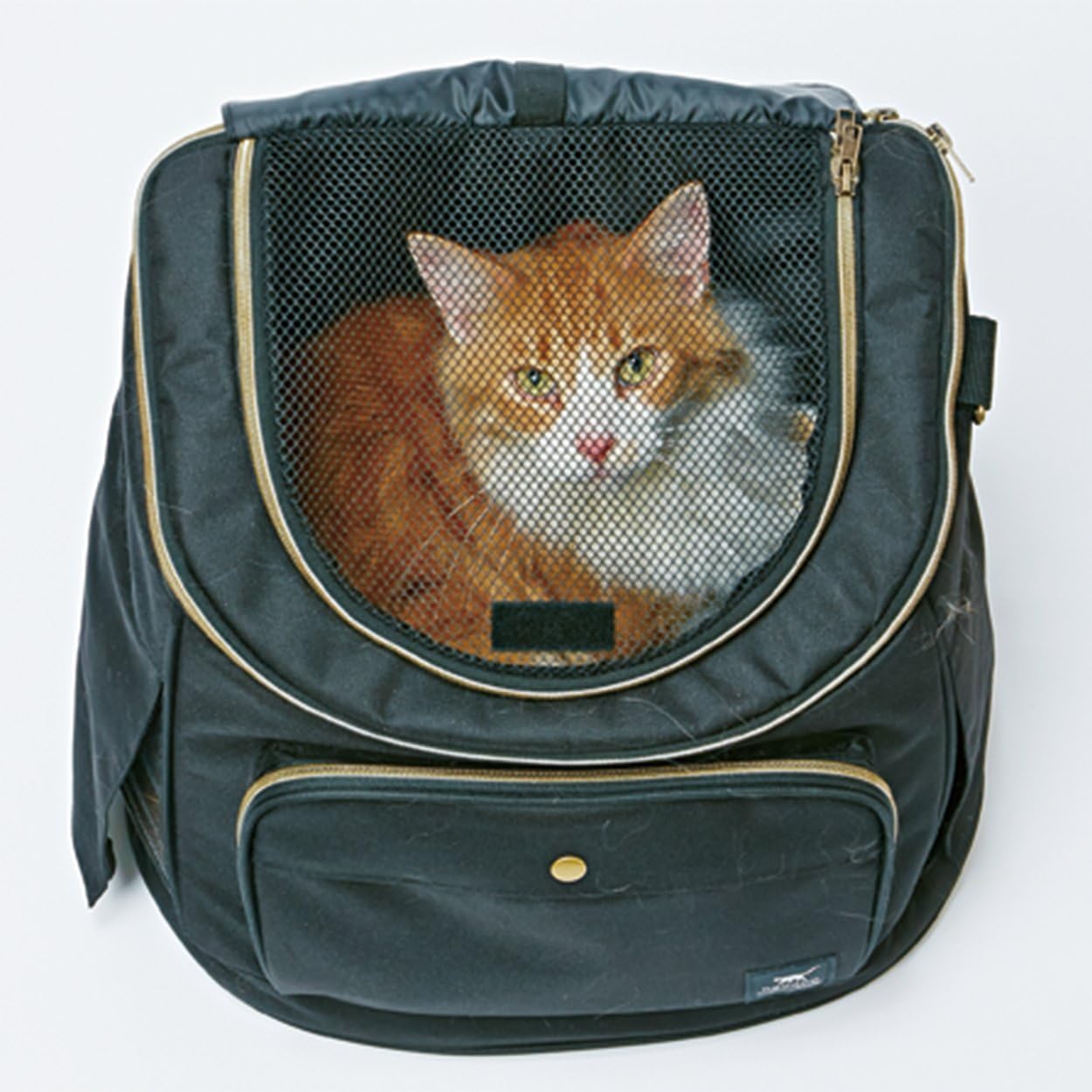 Petio necoco Backpack Carry [Black] (Japan Import)