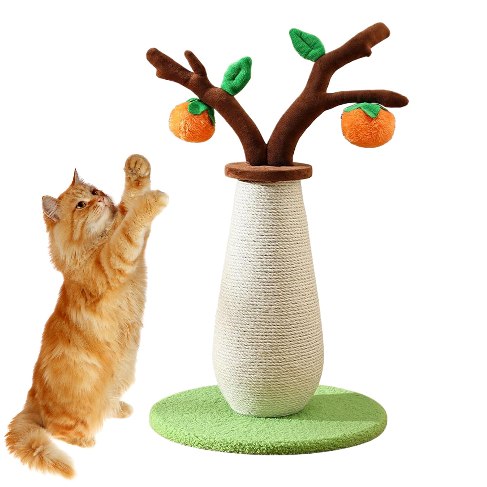 Arbre à chat de salon pour l'escalade et l'entraînement du chaton