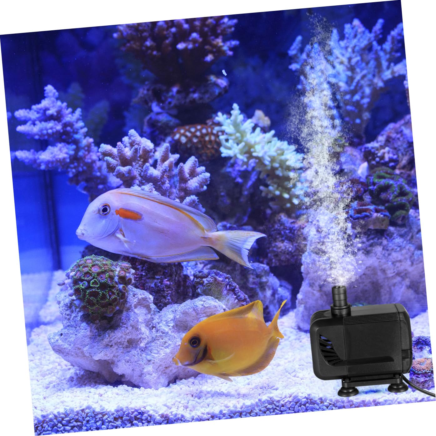 Toddmomy 3piezas Bomba Submersible Para Acuarios h Silenciosa Para Peceras y Fuentes Fácil Instalación Con Ventosas Filtro De Agua y Potente