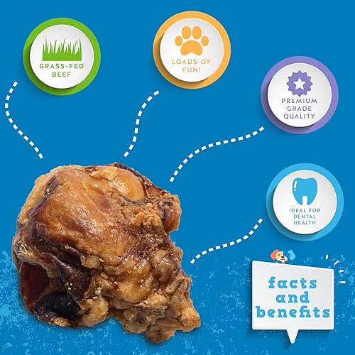 Miniatura 3 de Jack&Pup Huesos de ternera, rodillera para perros, huesos naturales de perro de larga duración, rodilleras de hueso de res para perros grandes