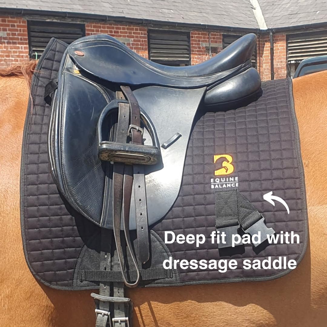 Equine Band System – Dressage Core Conditioner Training Aiuto per cavalli con fasce fisioterapiche professionali e sottosella dressage Equine Balance Bands.