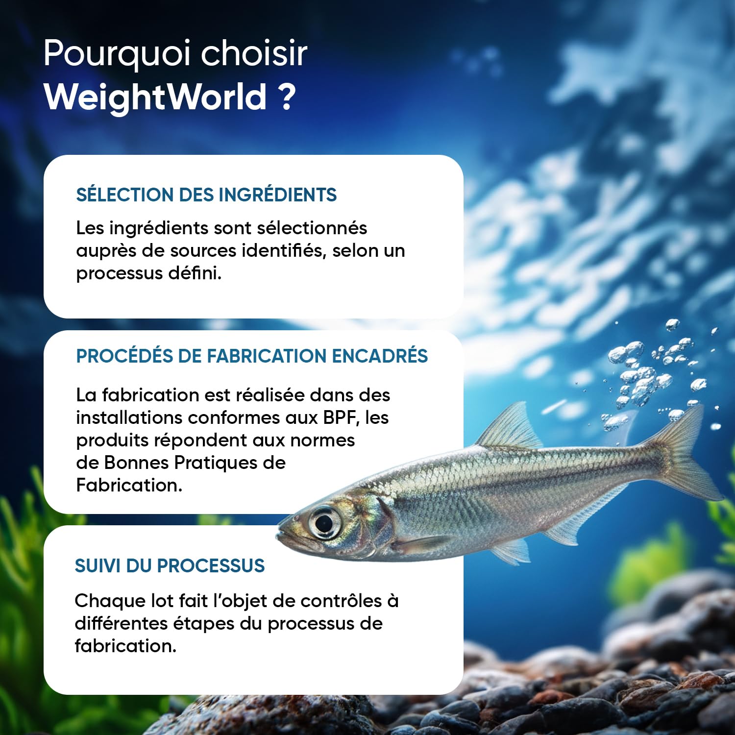 Oméga 3 Huile de Poisson 400 Gélules pour +1 An d'Apport, Fish Oil Omega 3 EPA DHA sans Odeur, Selon l'EFSA, l'EPA et le DHA Contribuent au Fonctionnement Normal du Cœur