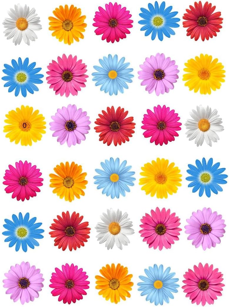 30 x Edible Flowers Daisy Rice Fairy Paper Cake Cupcake Toppers Edible Decoration Daisies