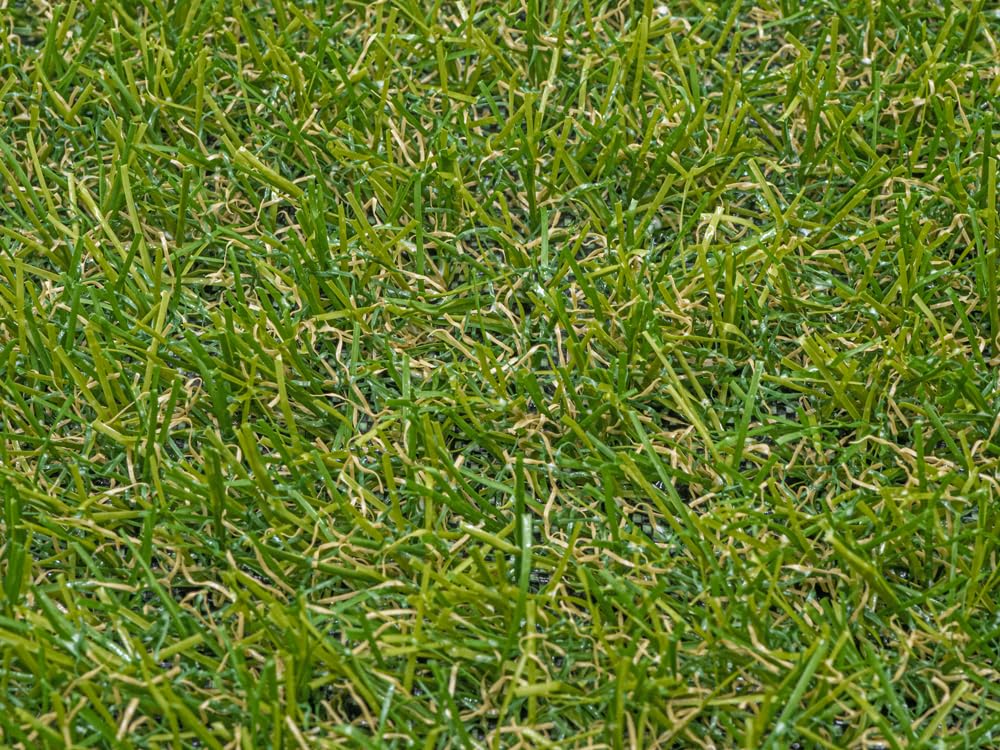 APOLO. 20 mm. Medidas 2 x 5 m. (10 m2). El +Bello.