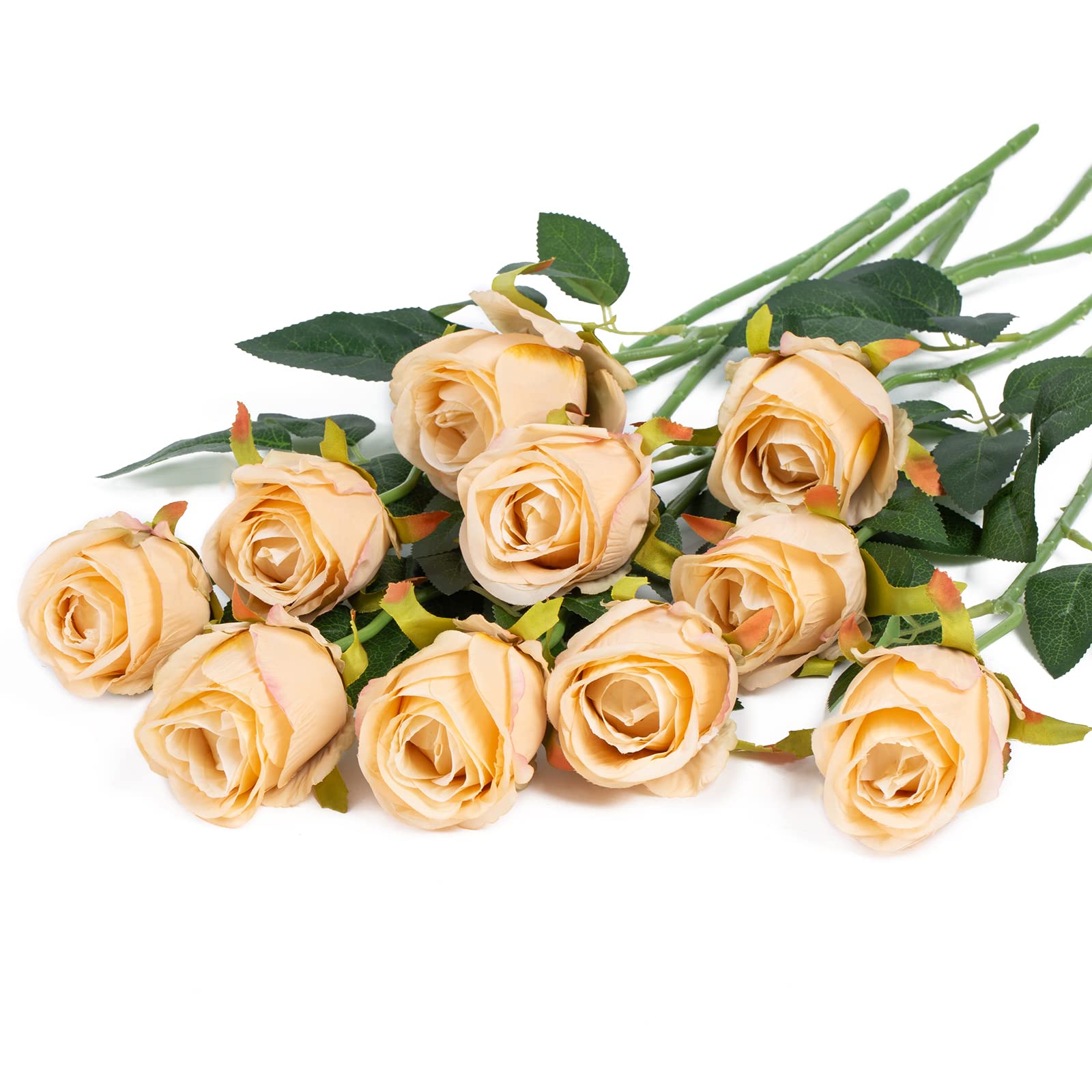 DuHouse 10pcs Artificial Silk Roses Flowers Single Long Stem Fake Rose Bouquet for Wedding Home Party Decoration Centerpieces(Champagne)