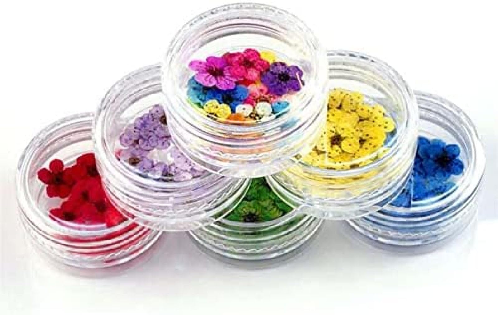 Fiori Pressati Secchi 100pcs Mini Narciso Essiccato Narciso Jonquilla Fiore Pianta Erbario per Gioielli in Resina Epossidica Segnalibro Cartolina Nailart DIY,L105,bonny369