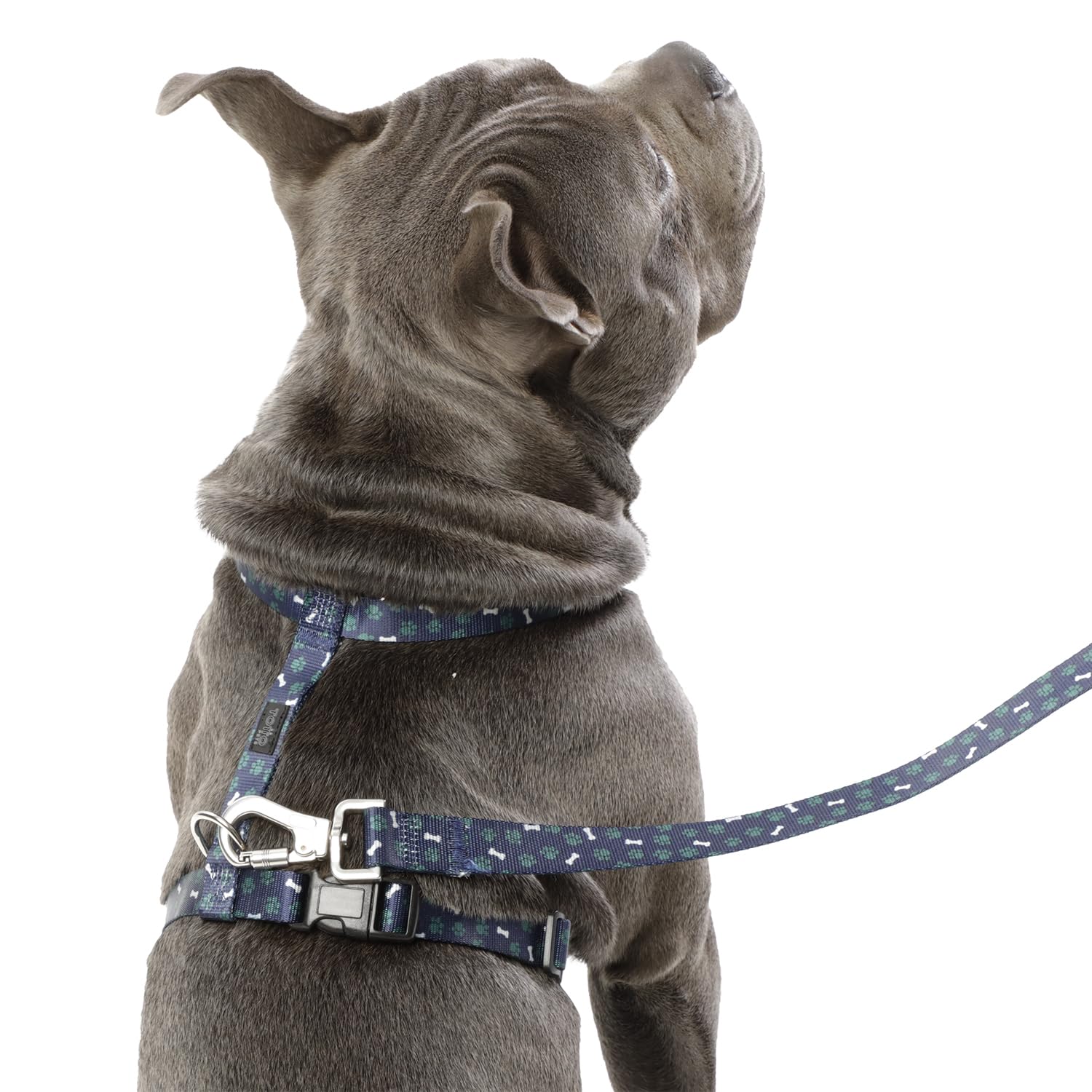 TOTTO, Medium Dog Harness, Figgo Model, Size M, Dog Breastplate, H-Type Design, Adjustable, Reduces Pressure in Trachea - Image 4