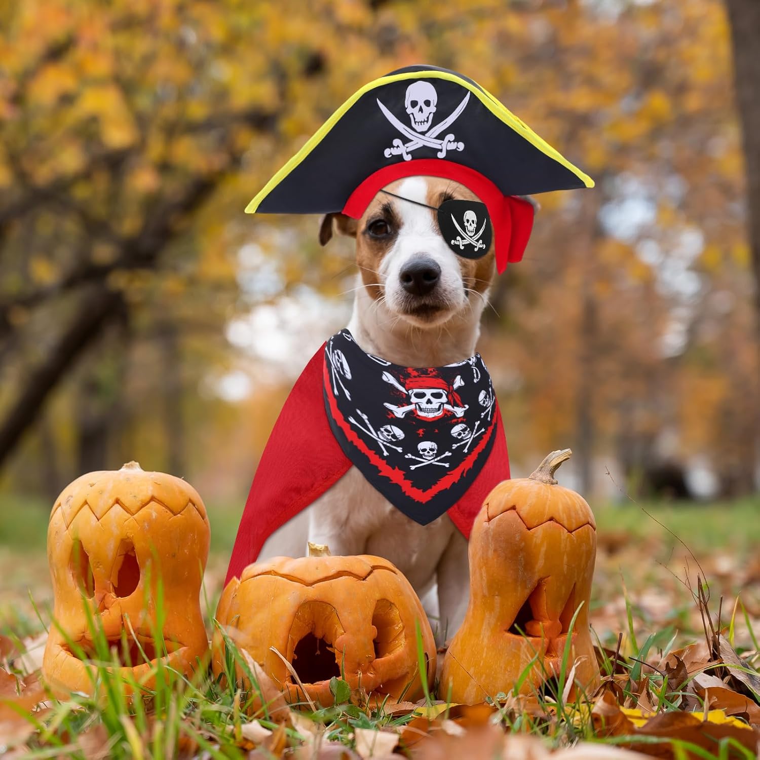Huhumy 4 Pcs Dog Pirate Costume Set Dog Pirate Hat Pet Skull Triangle Bandana Puppy Cape and Eye Mask for Halloween Outfits Accessories(Red,Large)